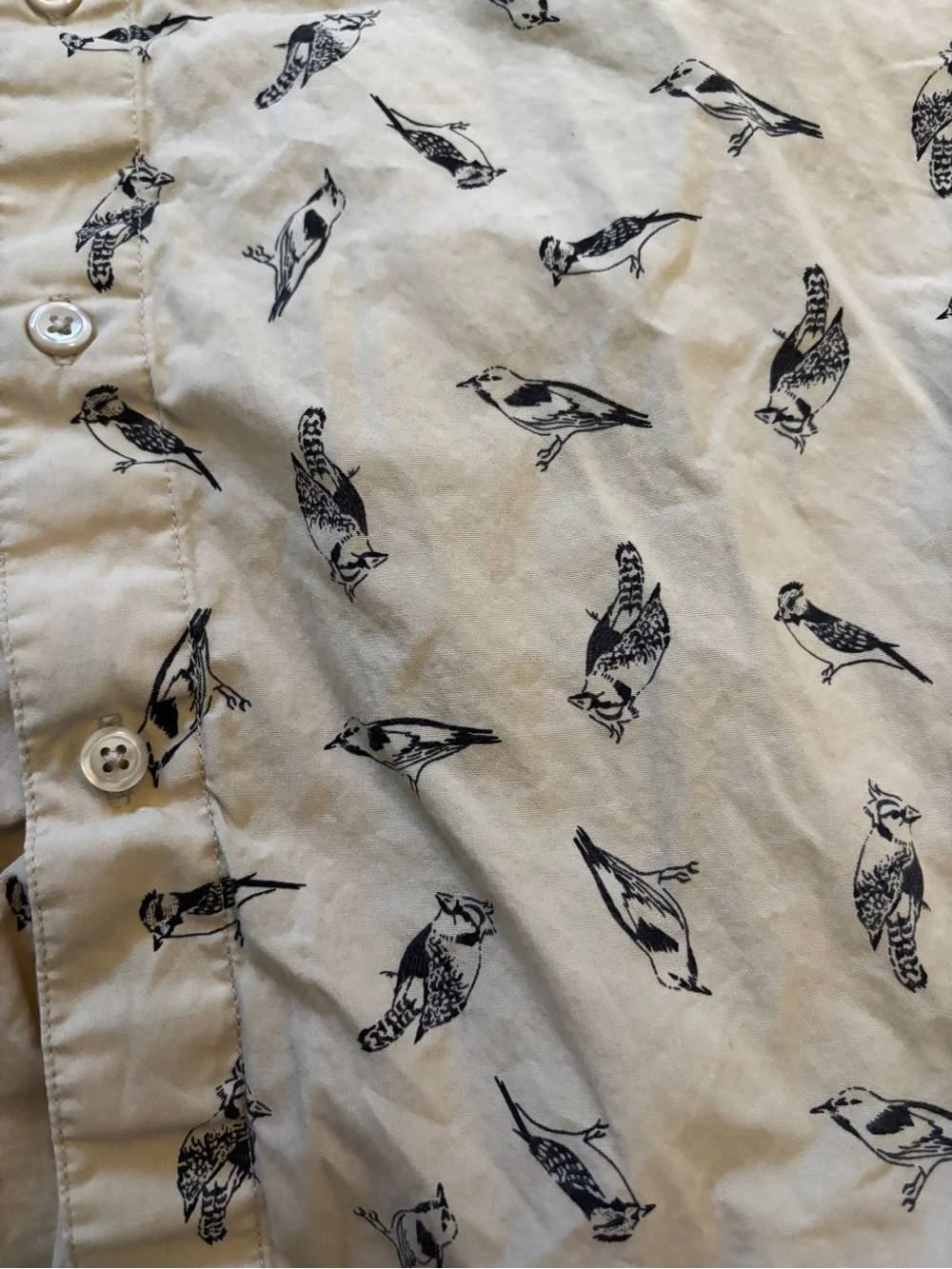 North Face Cream Short-Sleeve Button-Up Shirt with Black Bird Print worn once